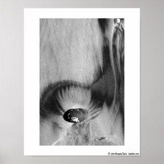 San Diego Beach Poster # 2 11x14