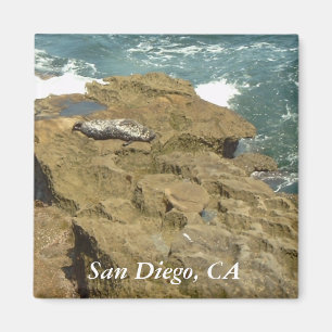 San Diego ein Sonnenbad nehmender Siegel-Magnet Magnet