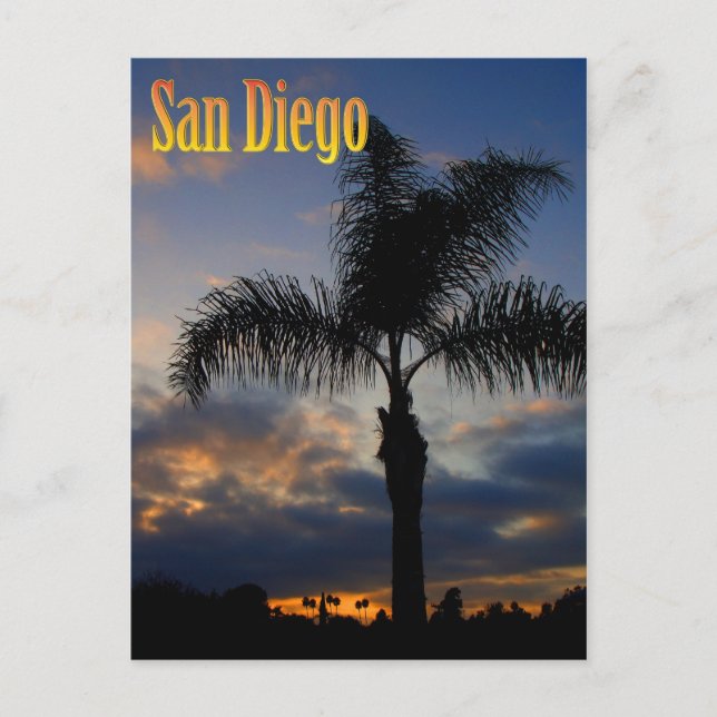 San Diego Palm Tree Sunset Postcard Postkarte (Vorderseite)