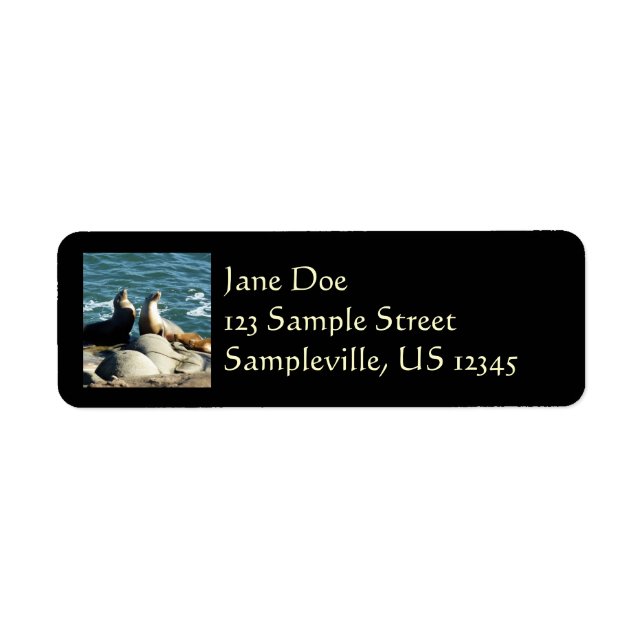 San Diego Sea Lions (Vorne)