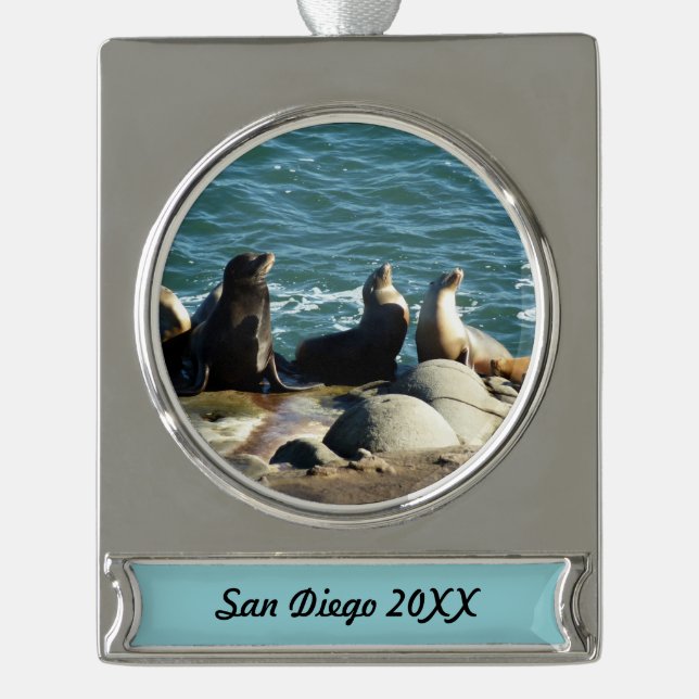 San Diego Sea Lions Banner-Ornament Silber (Vorderseite)