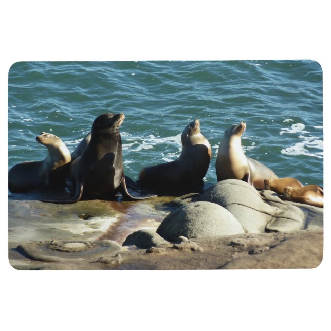 San Diego Sea Lions Bodenmatte (Vorderseite)