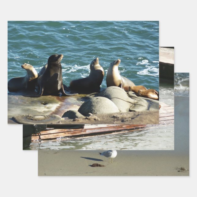 San Diego Sea Lions Geschenkpapier Set (Set)