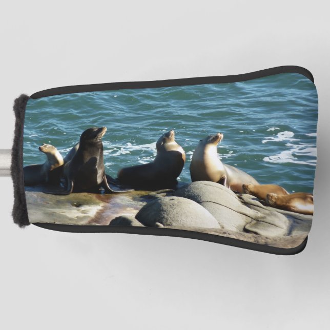 San Diego Sea Lions Golf Headcover (Vorderseite)