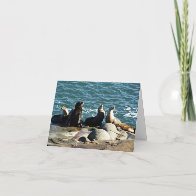 San Diego Sea Lions Karte (Vorderseite)