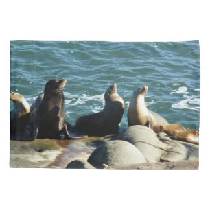 San Diego Sea Lions Kissenbezug
