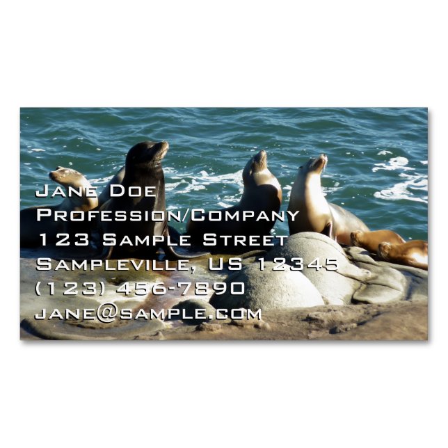 San Diego Sea Lions Magnetische Visitenkarte (Vorderseite)