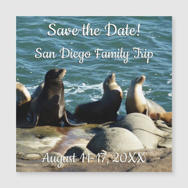 San Diego Sea Lions Magnetkarte (Vorderseite)
