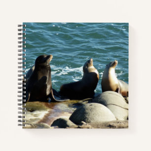 San Diego Sea Lions Notizbuch