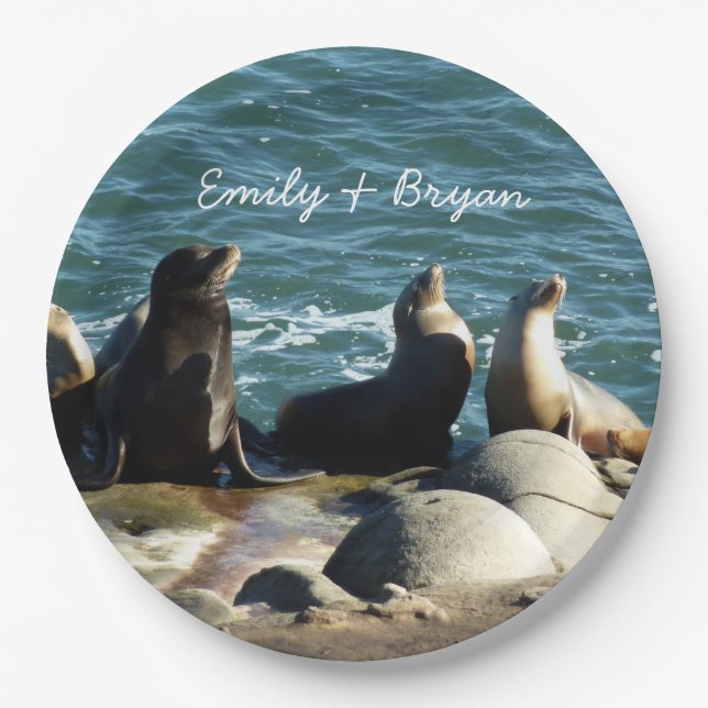 San Diego Sea Lions Pappteller (Vorderseite)