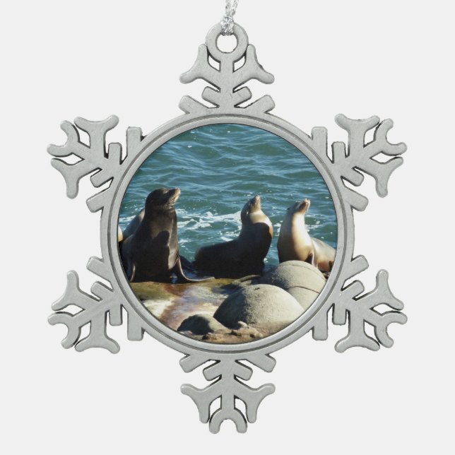 San Diego Sea Lions Schneeflocken Zinn-Ornament (Vorderseite)