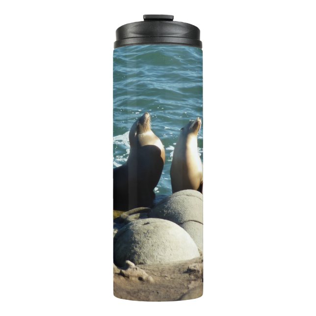 San Diego Sea Lions Thermosbecher (Vorderseite)
