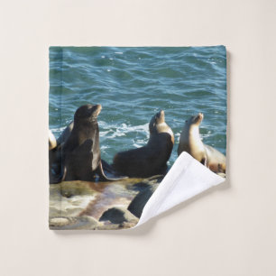 San Diego Sea Lions Waschlappen