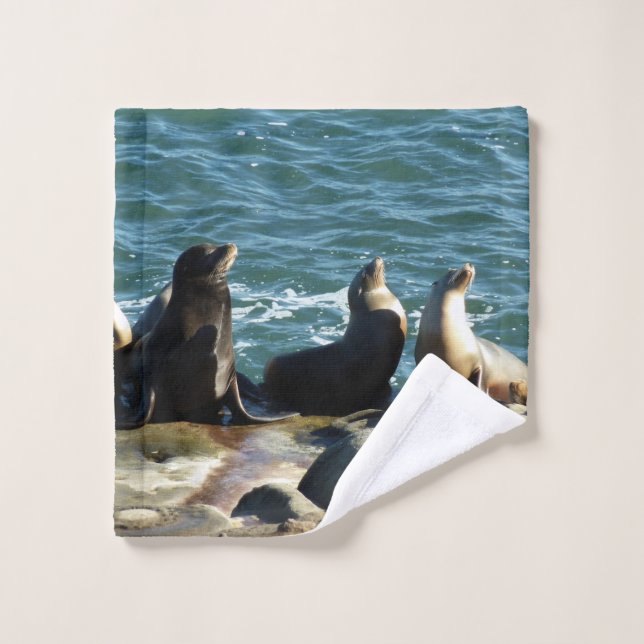 San Diego Sea Lions Waschlappen (Waschlappen)
