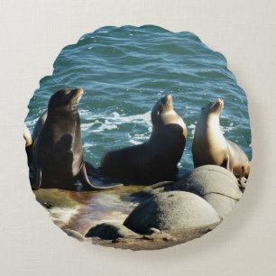 San Diego Seelöwen Rundes Kissen
