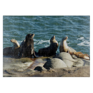 San Diego Seelöwen Schneidebrett