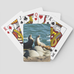 San Diego Seelöwen Spielkarten