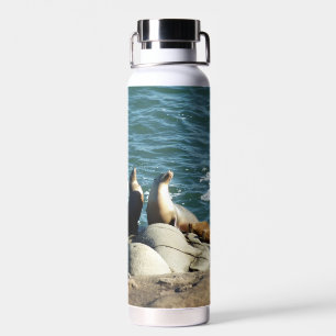 San Diego Seelöwen Trinkflasche