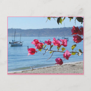San Diego Strand Postkarte