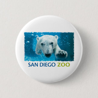 San Diego Zoo-Eisbär Button