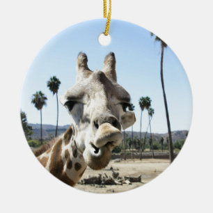 San Diego Zoo Keramik Ornament