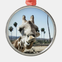 San Diego Zoo