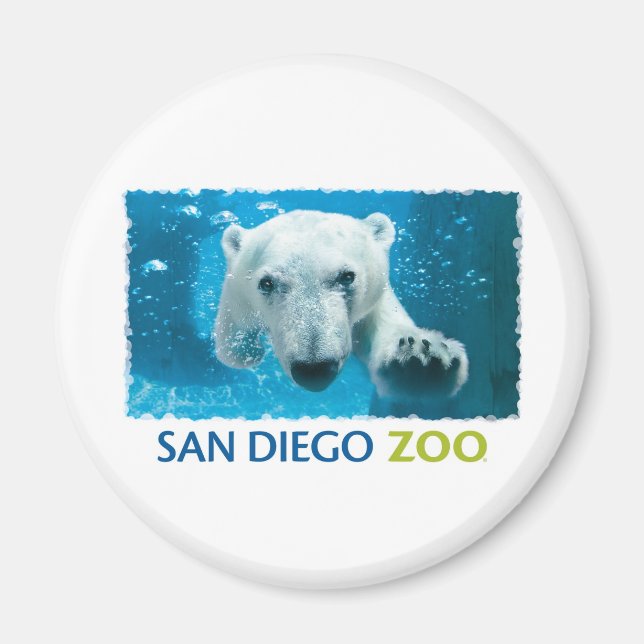 San Diego Zoo Polar Bear Magnet (Vorne)