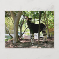 San Diego Zoo