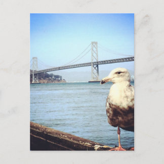 San Francisco Bay Bridge Seagull Postkarte