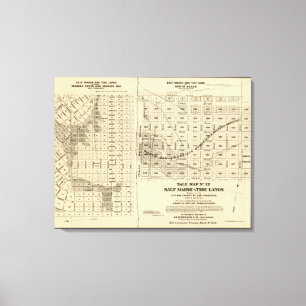 San- Francisco Baysalz-Sumpf Leinwanddruck