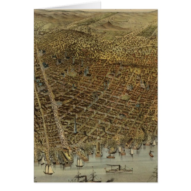 San Francisco Birds Blickansicht (Vorne)