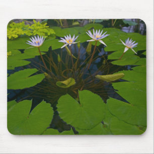 San Francisco Californias Golden Gate Park und Mousepad