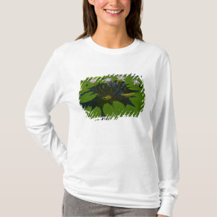 San Francisco Californias Golden Gate Park und T-Shirt