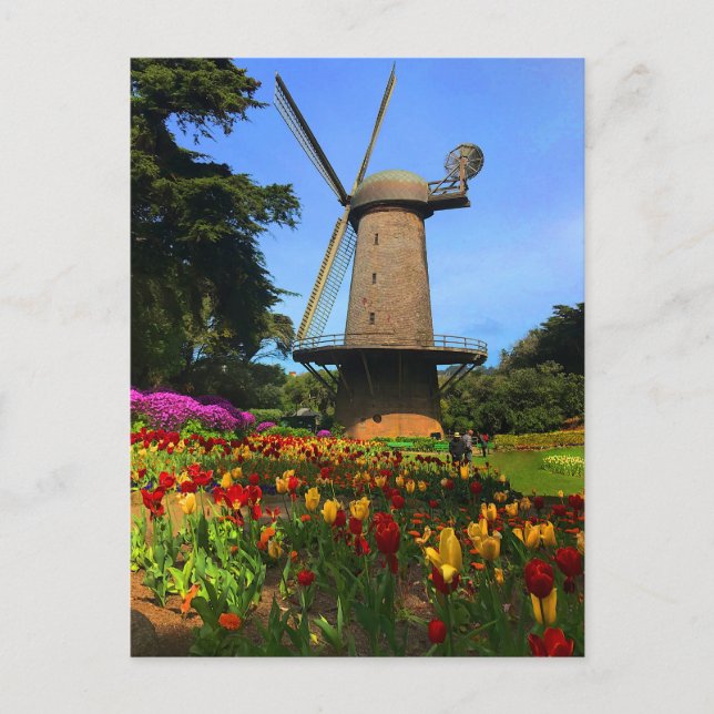 San Francisco Dutch Windmill #6 Postcard Postkarte (Vorderseite)
