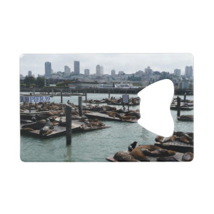 San Francisco et Pier 39 Sea Lions City Skyline