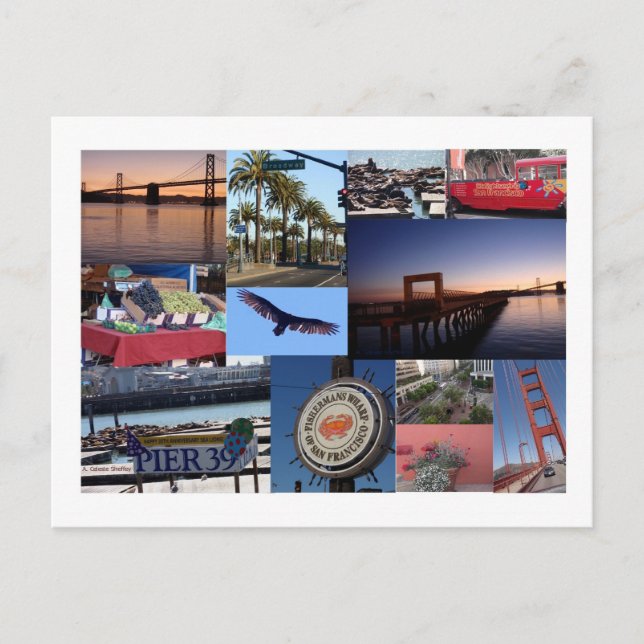 San Francisco Foto Collage Postkarte (Vorderseite)