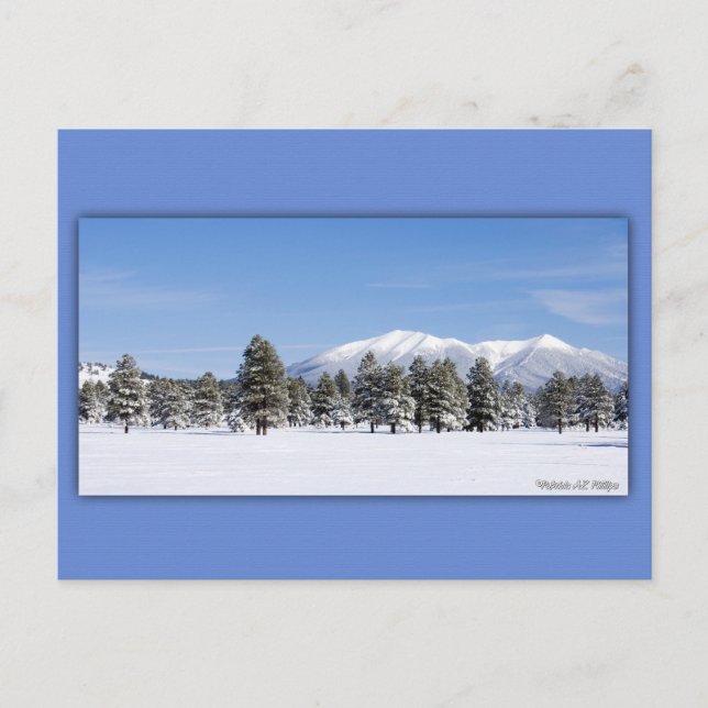 San Francisco-Gipfel im Schnee Postkarte (Vorderseite)