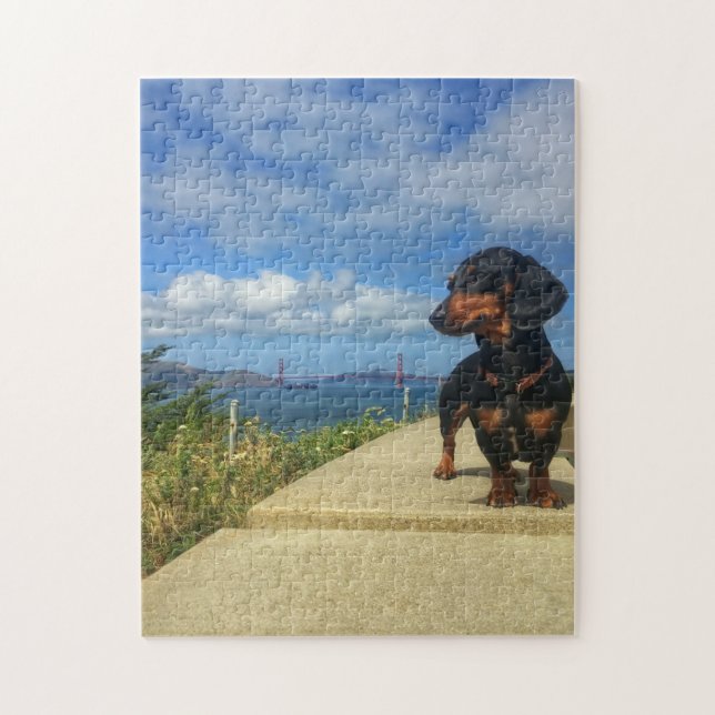 San Francisco Golden Gate (Vertikal)