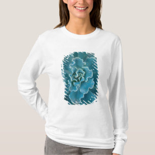 San Francisco Kaliforniens Golden Gate Park und T-Shirt