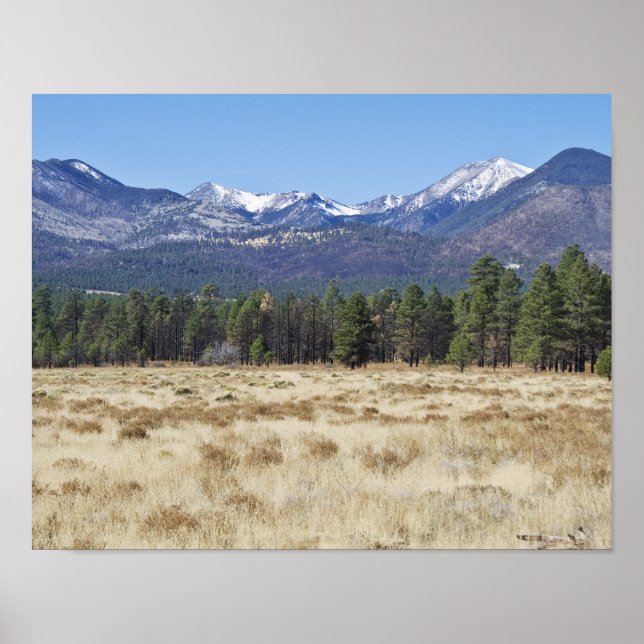 San Francisco Peaks - Flagstaff, affiche de l'Ariz (Devant)