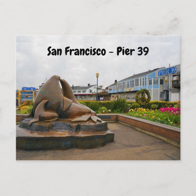 San Francisco Pier 39 #13 Postkarte (Vorderseite)
