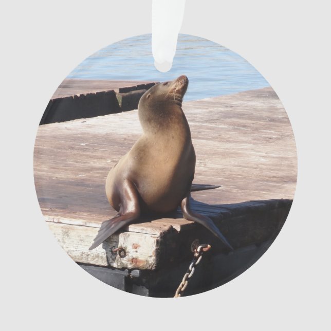 San Francisco Pier 39 Sea Lion Weihnachtsschmuck Ornament (Vorderseite)