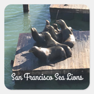San Francisco Pier 39 Sea Lions #2 Stickers