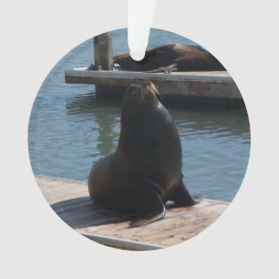 San Francisco Pier 39 Sea Lions #3-2 Ornament