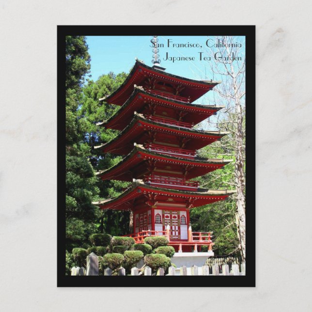 San Francisco Postcard Postkarte (Vorderseite)