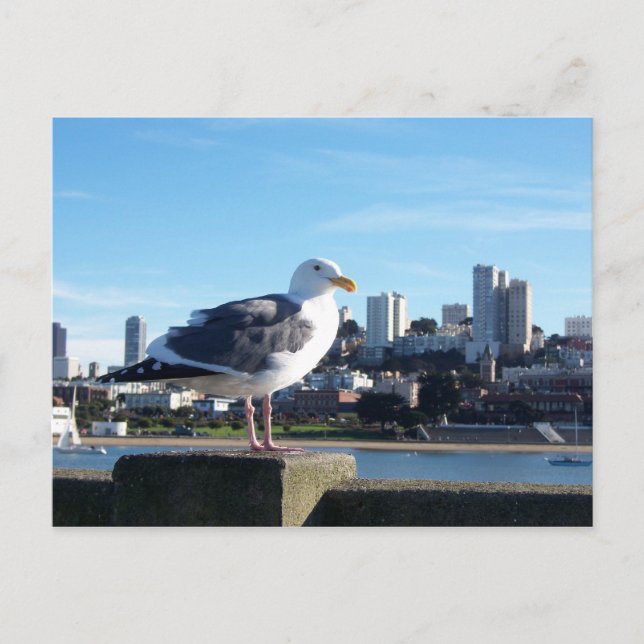 san francisco. postkarte (Vorderseite)