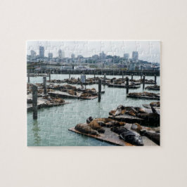 San Francisco und Pier 39 Sea Lions City Skyline