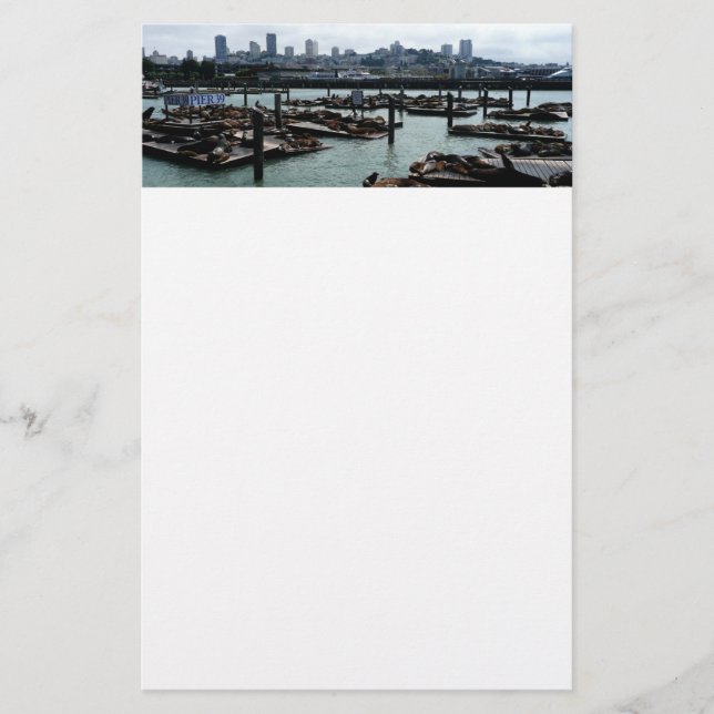 San Francisco und Pier 39 Sea Lions City Skyline Briefpapier (Vorderseite)
