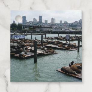 San Francisco und Pier 39 Sea Lions City Skyline Geschenkanhänger