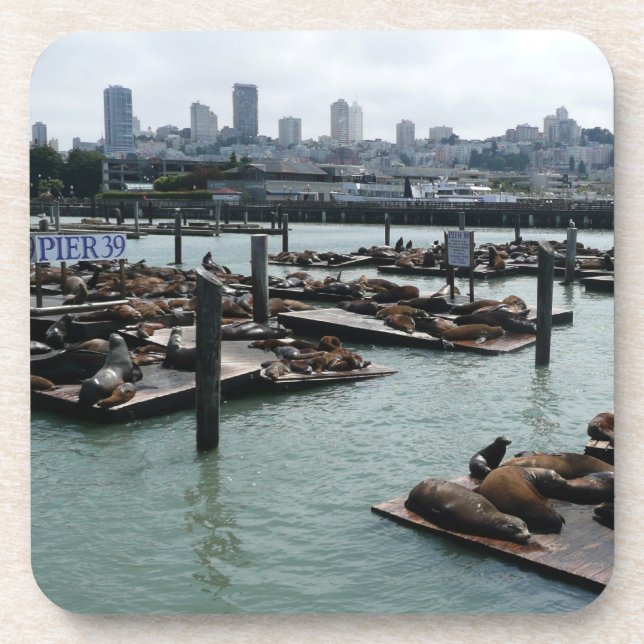 San Francisco und Pier 39 Sea Lions City Skyline Getränkeuntersetzer (Vorderseite)
